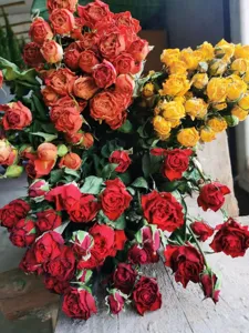 Dried rose flowers bulk for DIY resin crafts, epoxy candle making, and photo frame decor materials.
