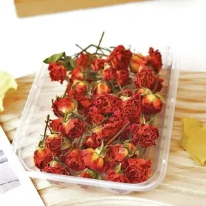 Dried multi-head roses small spray flowers for epoxy resin craft candle DIY making pack.