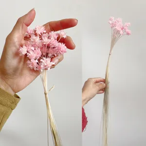 Pink dried flower bouquet with long stems, perfect for home decor and DIY craft uses.