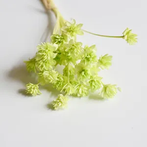 Natural dried small flowers bouquet for home decor and DIY crafts. Beautiful floral arrangement.