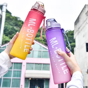 Große Farbverlauf-Matte-Wasserflasche mit Klappdeckel und Tragegurt für den Outdoorsport.