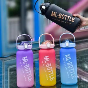 Große matte Farbverlauf Sport Trinkwasserflasche mit Deckel für Fitness und Alltag.