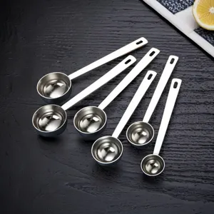 Ensemble de cuillères à mesurer en acier inoxydable long manche café poudre cuillère