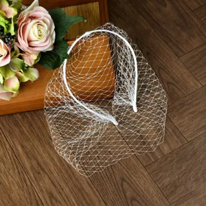 Velo da sposa gabbia per uccelli cerchietto velo a rete classico accessorio per capelli