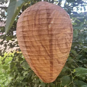 Outdoor Hanging Bionic Honeycomb Paper Lantern Wasp Deterrent Fake Hornet Nest Garden Yard Decorative Hanging Ornament