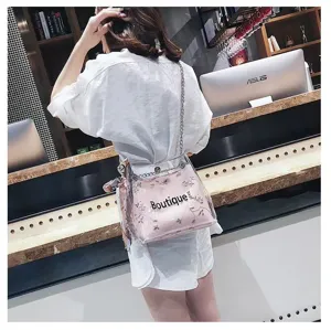 Transparent PVC jelly crossbody bag with floral embroidery and chain strap for women.