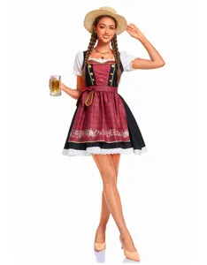 Vue détaillée de la robe traditionnelle bavaroise Dirndl Oktoberfest avec de superbes broderies.