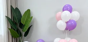 Decorative latex balloons set in purple pink and white for party celebration and romantic events details