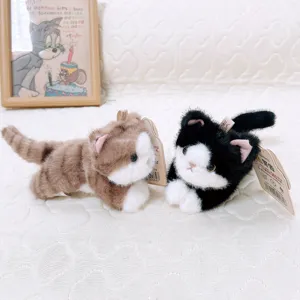 Set di peluche per gatti magnetici carini, morbidi giocattoli di pezza con design.