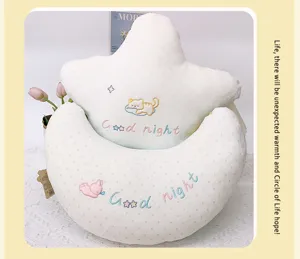 Set cuscino peluche stella e luna carino guanciale ricamato decorazione divano letto