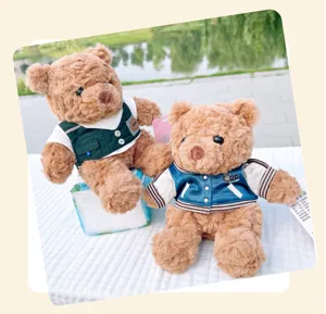 Cute dressed teddy bear plush toy set, soft stuffed animal doll home decor gift for kids.