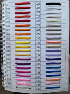 Detailed view of color swatch booklet showing multiple shade options for outdoor paracord.