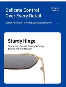 Lunettes de soleil homme détail charnière en métal solide et finition de haute qualité.