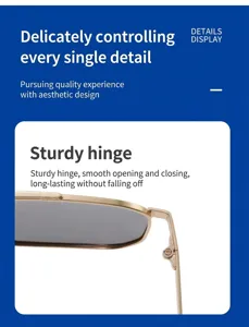 Close-up detail of durable metal sunglasses hinge, precision craftsmanship, sturdy and reliable.