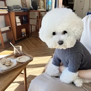Detail shot of grey waffle-knit pet sweater worn by a cute Bichon dog in a cozy home setting.