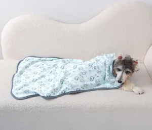 Thickened pet blanket for dogs and cats warm winter fleece sleeping mat with cute dinosaur print