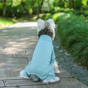 Mint green knit four-legged pet sweater detail shot, soft wool material for dogs and cats autumn.