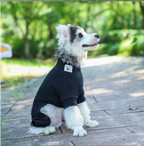 Pet sweater detail shot, black knitted four-leg dog apparel for cold weather, soft and warm.