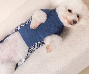 Vue détaillée d'un adorable chien portant un pull en tricot bleu avec motif géométrique.
