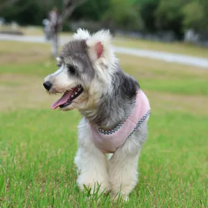 Gilet polaire d'hiver chaud et mignon pour chiens et chats, vêtements d'extérieur confortables.