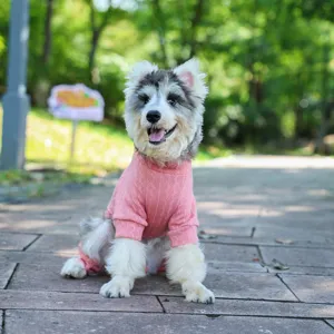 Cute pink pet four-leg knitted sweater warm dog clothing for autumn and winter season wear