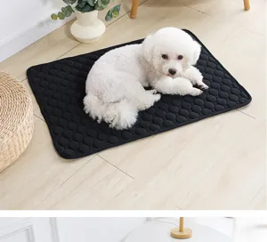 Nahaufnahme einer schwarzen strukturierten Haustier-Pipi-Matte für kleine Hunde im Detail.