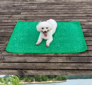Tappetino assorbente lavabile e riutilizzabile per cani, stuoia per pipì di cuccioli.