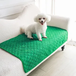 Tappeto pipi per animali lavabile riutilizzabile impermeabile tappetino assorbente cani