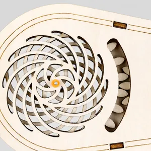 Illusione visiva 3D piatto girevole in legno ingranaggio esperimento scienza parte