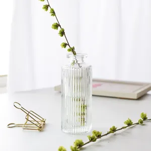 Clear ribbed glass vase for hydroponic plants, elegant desktop floral container decoration.