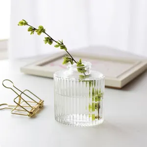 Clear glass vase with vertical ribs for hydroponic plants, elegant home desk decor.