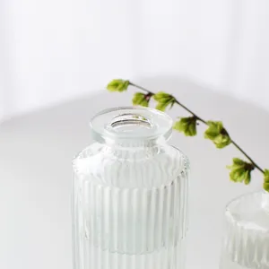Transparent glass vase european style ribbed bottle for hydroponic plants home decor desktop