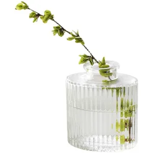 Clear glass vase with ribbed design and green plant twig for hydroponic home decor display.