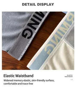 Detailed view of men's modal cotton boxer briefs featuring wide elastic waistband.