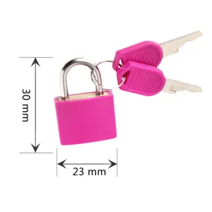 Small pink brass padlock with two keys, 23mm width and 30mm height for luggage and lockers.