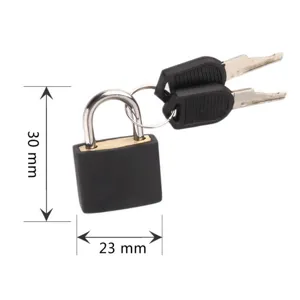 Small black metal padlock with two keys, 23mm width and 30mm height for luggage and cabinet security.