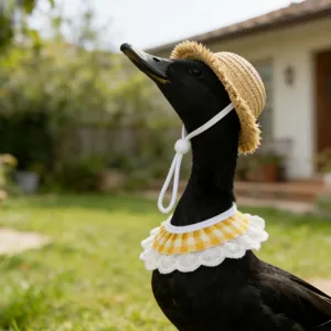 Niedliches Gans Kostüm Set mit Mini Strohhut und gelbem kariertem Spitze Haustier Lätzchen.