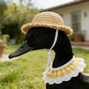 Detailansicht des niedlichen Haustier Mini Strohhuts und gelben Karomuster Latz für Enten.