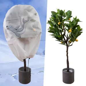 Schattige zeehond plant antivries hoes met winters sneeuwlandschap en potplant detail.
