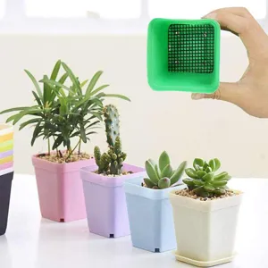 Vierkante kunststof bloempotten voor vetplanten met bodemnetten tegen grondverlies.