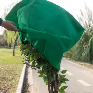 Primo piano di una copertura protettiva antigelo verde per piante usata all'aperto.