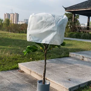Plantenbeschermhoes voor de winter, vorstbeschermingszak voor tuinen bomen en planten.