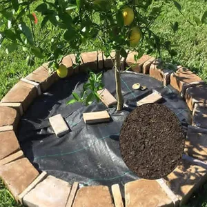 Dettaglio telo pacciamatura da giardino installato su albero con texture del terreno.
