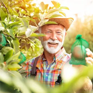 Gedetailleerd overzicht van groene fruitbeschermingszak met trekkoord voor fruit in de tuin.