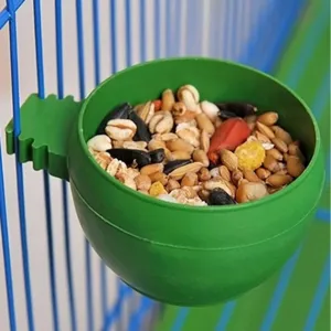 Detail close-up of a green plastic bird feeder bowl filled with mixed grain seeds for pet cages.