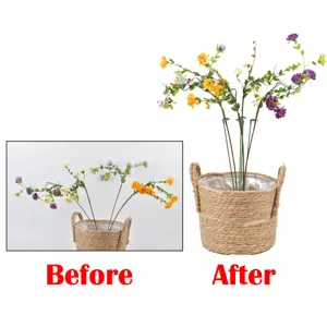 Tiges de support pour plantes de jardin en pots et fleurs grimpantes, tuteurs verts robustes.
