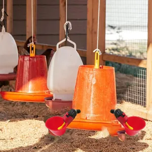 Bicchiere abbeveratoio automatico per polli ciotola bevanda pollame per pulcini fattoria