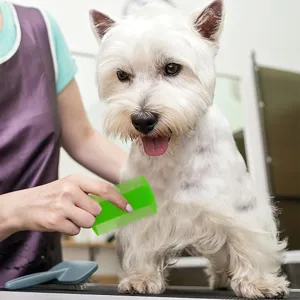 Vue détaillée du peigne anti-puces pour animaux en usage, outil vert double face en plastique.