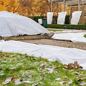 Detailed garden scene showing white nonwoven plant frost protection cover deployed outdoors.