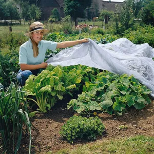 Garden plant frost protection cover detail showing white nonwoven fabric used in vegetable plot.